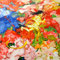 「花めぐる」　2012／キャンバス、油彩／45.5×53.0cm