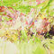 「digest」　2014／パネル・綿布、油彩／90.9×116.7cm