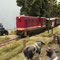L45H der MTSE