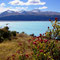 Lake Pukaki