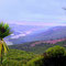 Cape Reinga