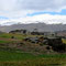 Central Otago 