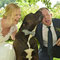 Hochzeitsfotograf Bielefeld