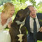 Bräutigam und Hund beim Lachen · Hochzeitsfotograf Gütersloh · herzliche & echte Augenblicke