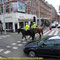 Stadtrundfahrt in Amsterdam; berittene Polizei