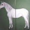 Pferd für Lokal, 200x180 / Wandmalerei 