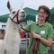 Lama Max kam aus Herbsleben zu Gast zu den Alpakas und sorgte für  Stimmung bei den Gästen. Unseren Alpaka-Hengsten hat es weniger gefallen (Konkurrenz).