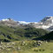 Im Aufstieg zur Capanna Gnifetti. Links Lyskamm und rechts die Vincentpyramide.