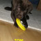 20.6.12 zweiter Tag im neuen Zuhause