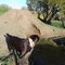 20.11.13 BMX-Piste Hombruch