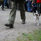 Parson Terrier