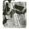 'ink pool I', 2017, lithographie, 55 x 38 cm