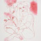 'chrysantheme', 2014, kupferkaltnadel, 59 x 75 cm
