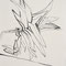 'agavle', 2013, tusche, 21 x 30 cm