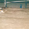 Conodromo, Playa del Ingles, Gran Canaria, Spanien