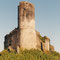 Ruine Landshut, Mosel