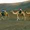 Timanfaya Nationalpark, Lanzarote, Spanien