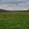 Regenrückhaltebecken,, Foto J. Baade 04.12.2024