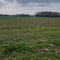 Blick von Käthe-Kollwitz-Strasse, Foto J. Baade 04.12.2024