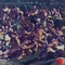 adam bota, "hundstage", 2022, 110 x 140 cm, oil on canvas – erlas galerie