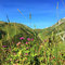 Mountain Yoga Festival, St. Anton. September 2016