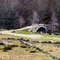 21  Michèle Paret :  Mont Lozère