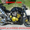 Fighter Bandit1200