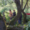 Urwald-feeling am Pützborner Bach.