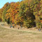 Entlang dem herbstlich gefärbten Waldrand geht´s zum Nordende des Mürmes.