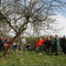 Zusammen mit den Pflege- und Adoptivfamilien pflegen wir Obstbäume auf mehreren Obstbaumwiesen bei Daun-Waldkönigen. 03/2012
