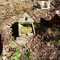 Die geöffnete Nisthöhle zeigt ein altes Kohlmeisennest.