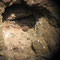Ein Igel hoch oben in einer Felswand ist ein Anzeichen für die Anwesenheit eines Uhus.