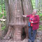 Di: 21.05.2013 Revelstoke National Park. Giant Cedar