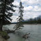 Di: 21.05.2013 Kootenay River