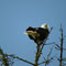 Do: 09.05.2013 Seeadler Sooke Bay