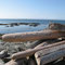 Do: 09.05.2013 Victoria Holland Point Shoreline Trail