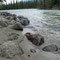 Do: 23.05.2013 Moab River