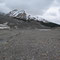 Mi: 22.05.2013 Beim Columbia Icefield: Reiche Ausbeute an Steinen für die Steinsammlerin Edith