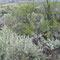 So: 26.05.2013 Desert Centre Osoyoos