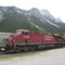 Mi: 22.05.2013 Field: Ausfahrt eines Container-Zugs zum Kicking Horse Pass