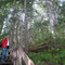 Di: 21.05.2013 Revelstoke National Park. Giant Cedar