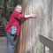 Di: 21.05.2013 Revelstoke National Park. Giant Cedar