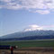 ...vorbei am Ararat...