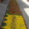 Infiorata del Corpus Domini 2007, 10 giugno