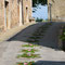 Infiorata del Corpus Domini 2007, 10 giugno