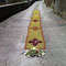 Infiorata del Corpus Domini 2013, 2 giugno