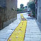 Infiorata del Corpus Domini 2008, 25 maggio