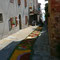 Infiorata del Corpus Domini 2007, 10 giugno