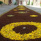 Infiorata del Corpus Domini 2007, 10 giugno