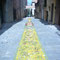 Infiorata del Corpus Domini 2008, 25 maggio